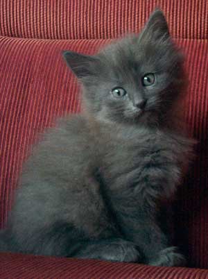 Astrid 6 veckor