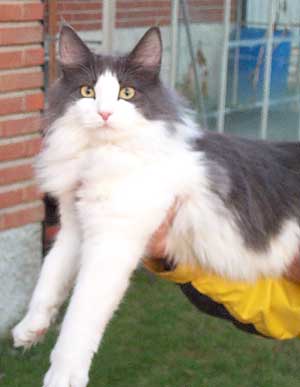 S*Riisnes Berit 8,5 mnader