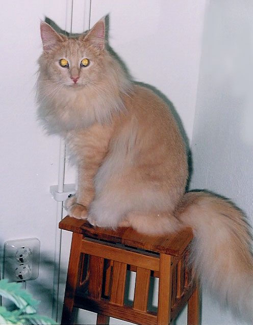 Carl-Bertil 9,5 mnader