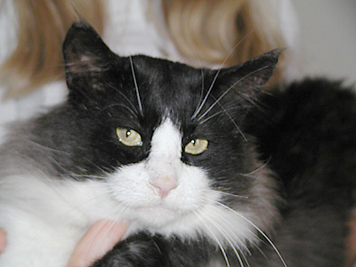 S*Riisnes Hampus 3,5 r