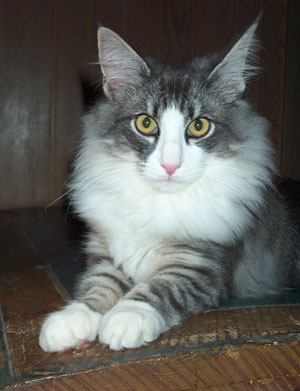 Ragnar 6 mnader