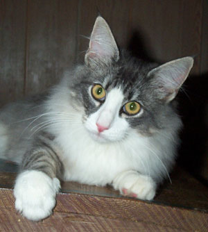 Ragnar 6 mnader