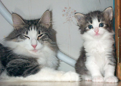 Mamma Kakan och dotter Scilla